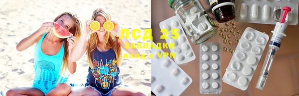 шишки Осташков