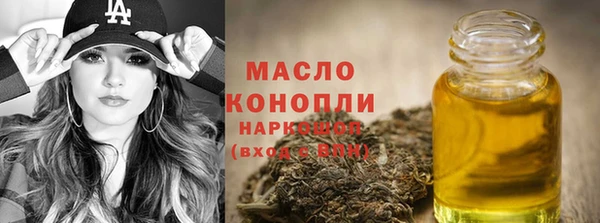 шишки Осташков