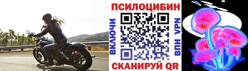 Галлюциногенные грибы GOLDEN TEACHER  Сертолово 